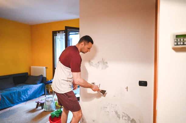 Best Mold Remediation for Schools in Hugo, OK