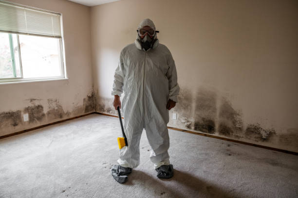 Best Post-Flood Mold Remediation in Hugo, OK